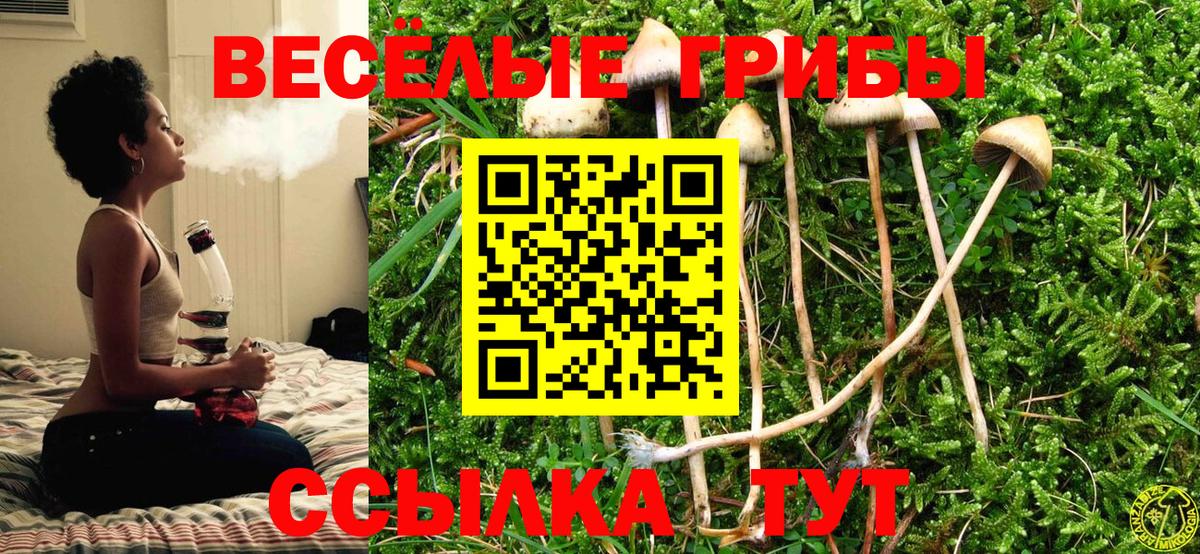 Комсомольск-на-Амуре  Псилоцибиновые грибы мицелий  Вход с VPN 